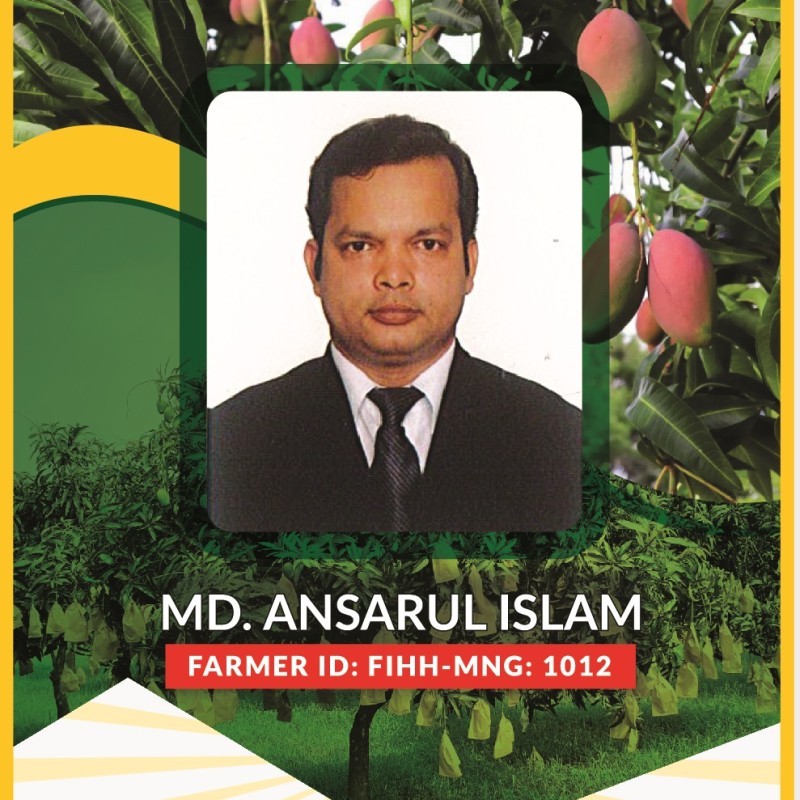 Md. Ansarul Islam