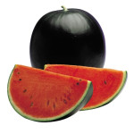 Tormuj - Watermelon (Blalckberry)  - 1pc