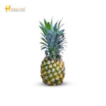 Pineapple - Honey Queen (2 PCS)