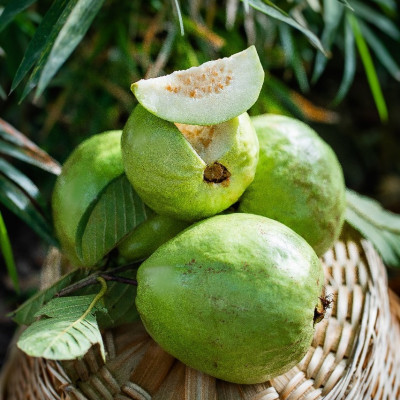 Guava - Thai (2 KG)